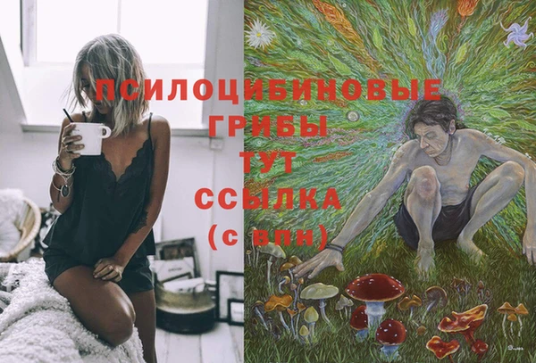 гидра Краснослободск