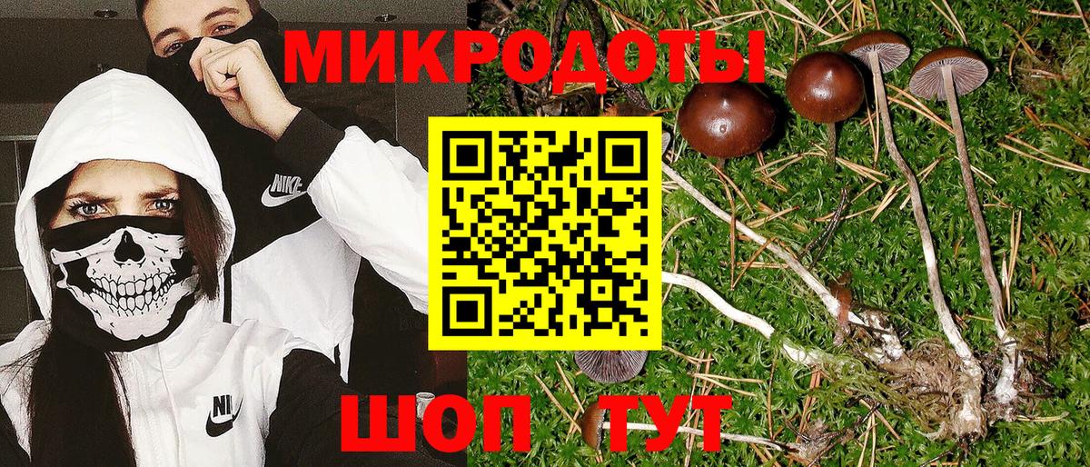 Галлюциногенные грибы Psilocybine cubensis Прохладный