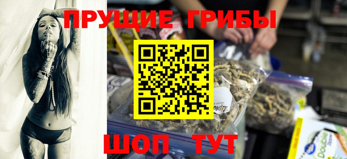 Прохладный  Галлюциногенные грибы мухоморы  Вход с VPN 