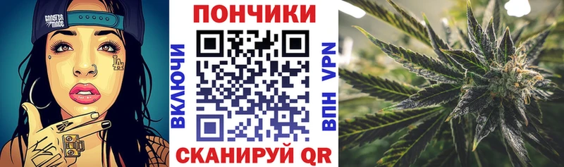 Конопля ГИДРОПОН  где купить   Прохладный 