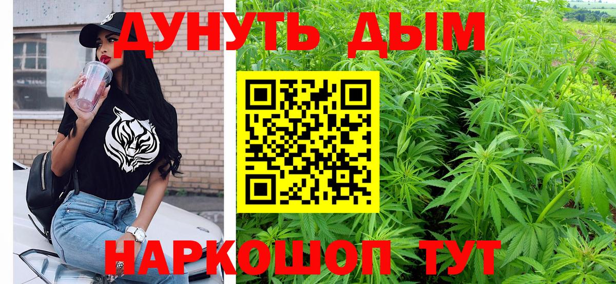 Прохладный  Каннабис план  Канабис план  Вход с VPN 